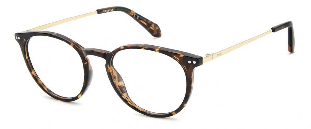 Polaroid Core PLDD617 Eyeglasses - view 5